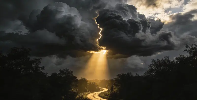 肺癌靶向120基因检测及PDL122C3表达检测套餐（组织）图3