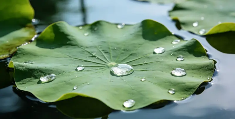 景德镇乳腺癌21基因mRNA表达分析图片1
