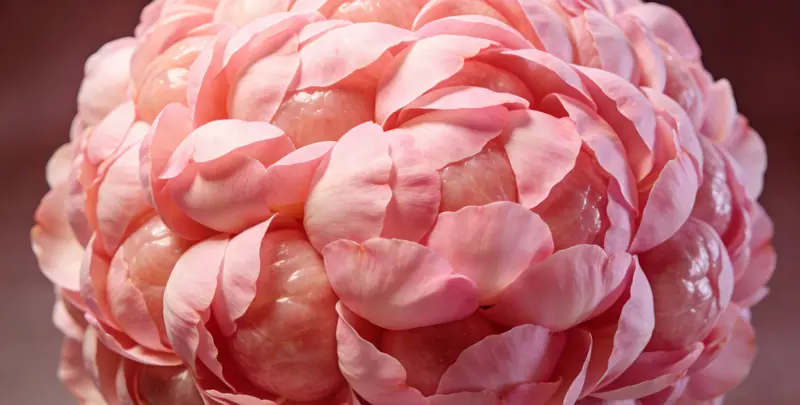 景德镇BRCA1/2乳腺癌卵巢癌基因检测图片1