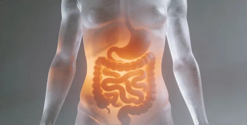 景德镇胃癌全面用药基因检测（组织）图片1